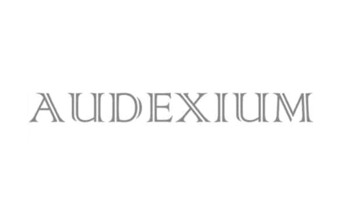 Ancien logo Audexium en typographie serif décorative grise